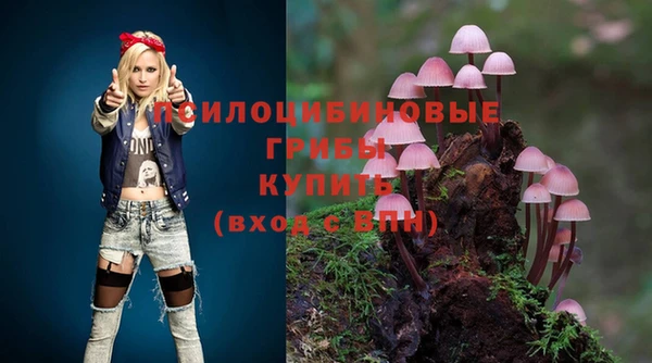 jwh Абаза