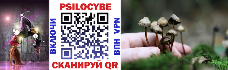 закладки Партизанск МЕГА Галлюциногенные грибы GOLDEN TEACHER